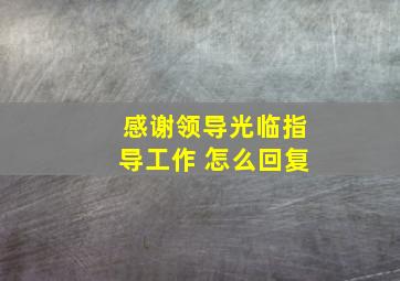 感谢领导光临指导工作 怎么回复